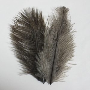 Ostrich Plumes-Small